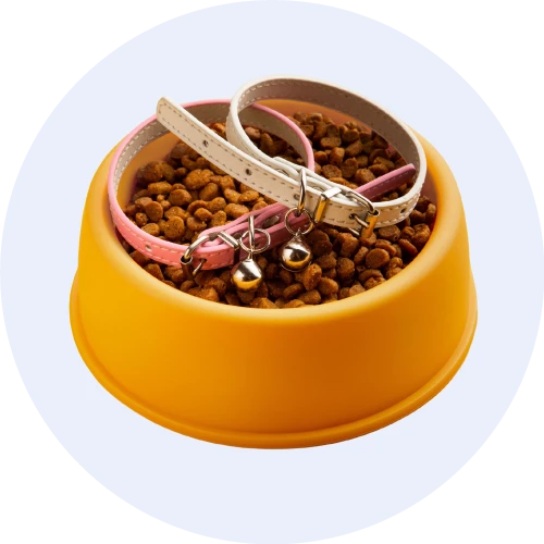 Pet Products